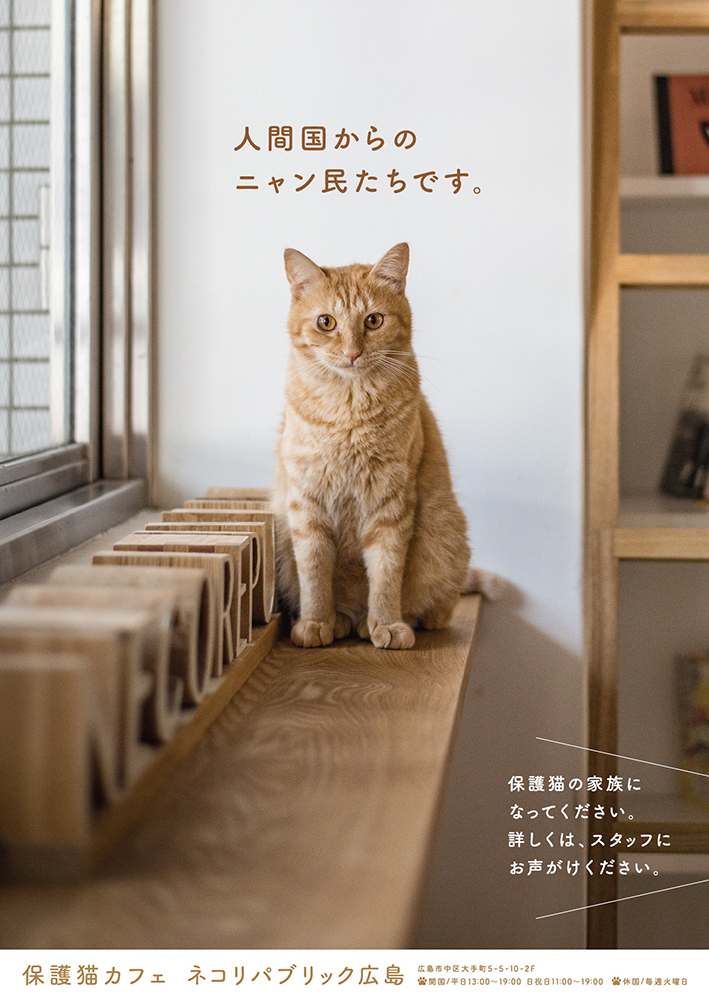 ネコリパブリック広島 作品タイトル 「保護猫カフェPR」